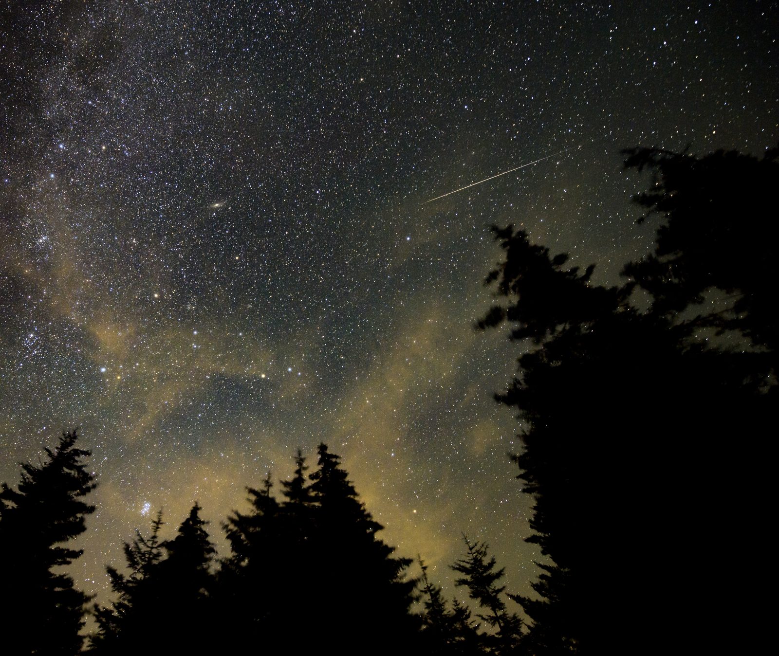 Un trazo brillante cruza un cielo estrellado sobre la silueta negra de unos árboles.