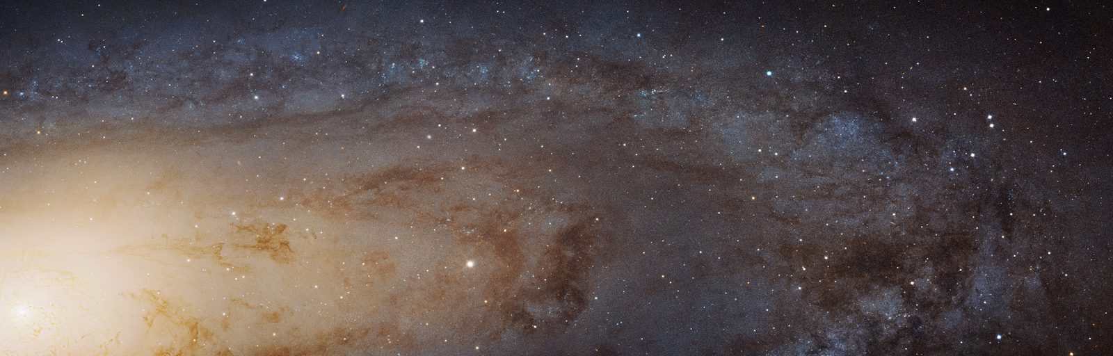 Una franja alargada del disco de la galaxia de Andrómeda, resuelta en millones de estrellas, con vetas de polvo oscuro y cúmulos azulados.