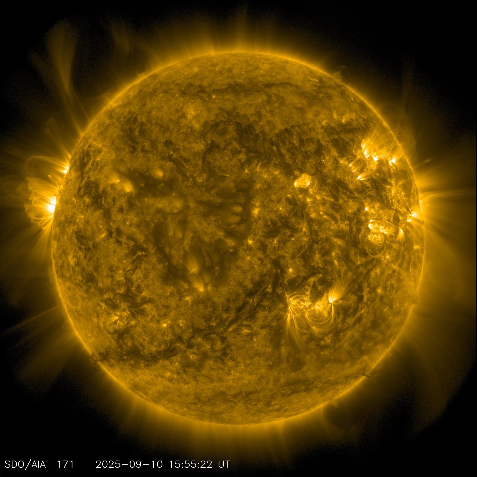 El disco completo del Sol en tonos dorados, con arcos de plasma saliendo del borde y regiones activas más brillantes.