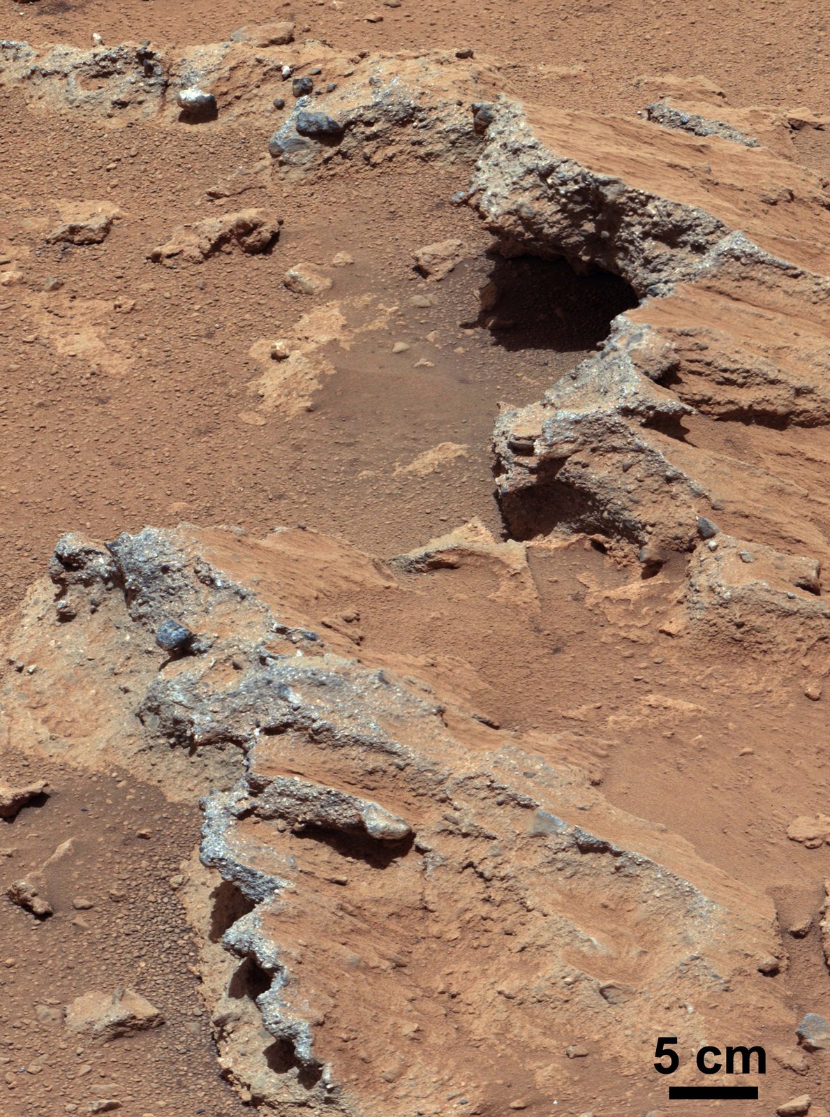 Primer plano de un afloramiento de roca marciana en el que se ven guijarros redondeados del tamaño de una moneda cementados dentro de la piedra.