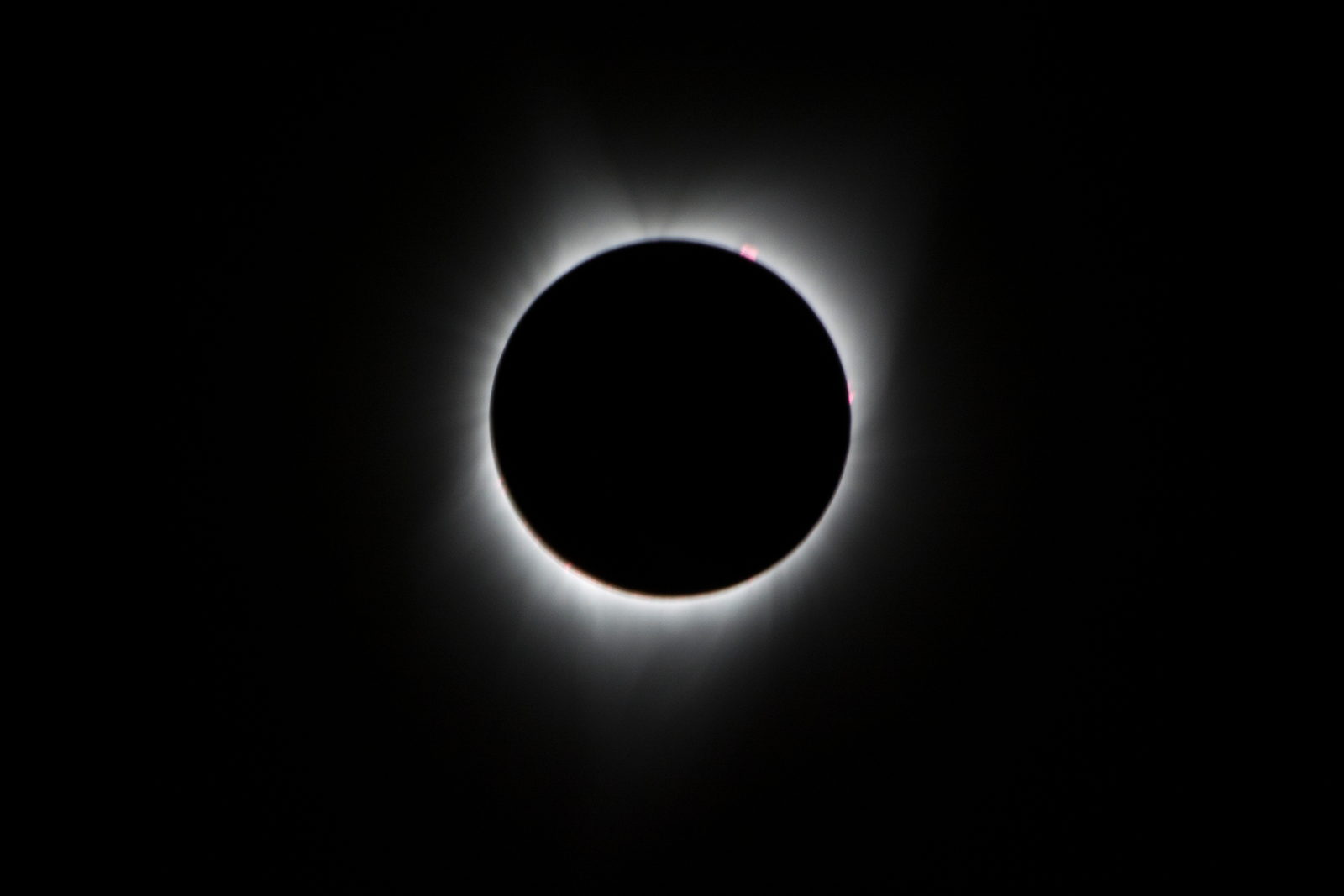 El disco negro de la Luna tapando al Sol, rodeado por la corona blanca; en el borde inferior asoman puntos rojos de luz.