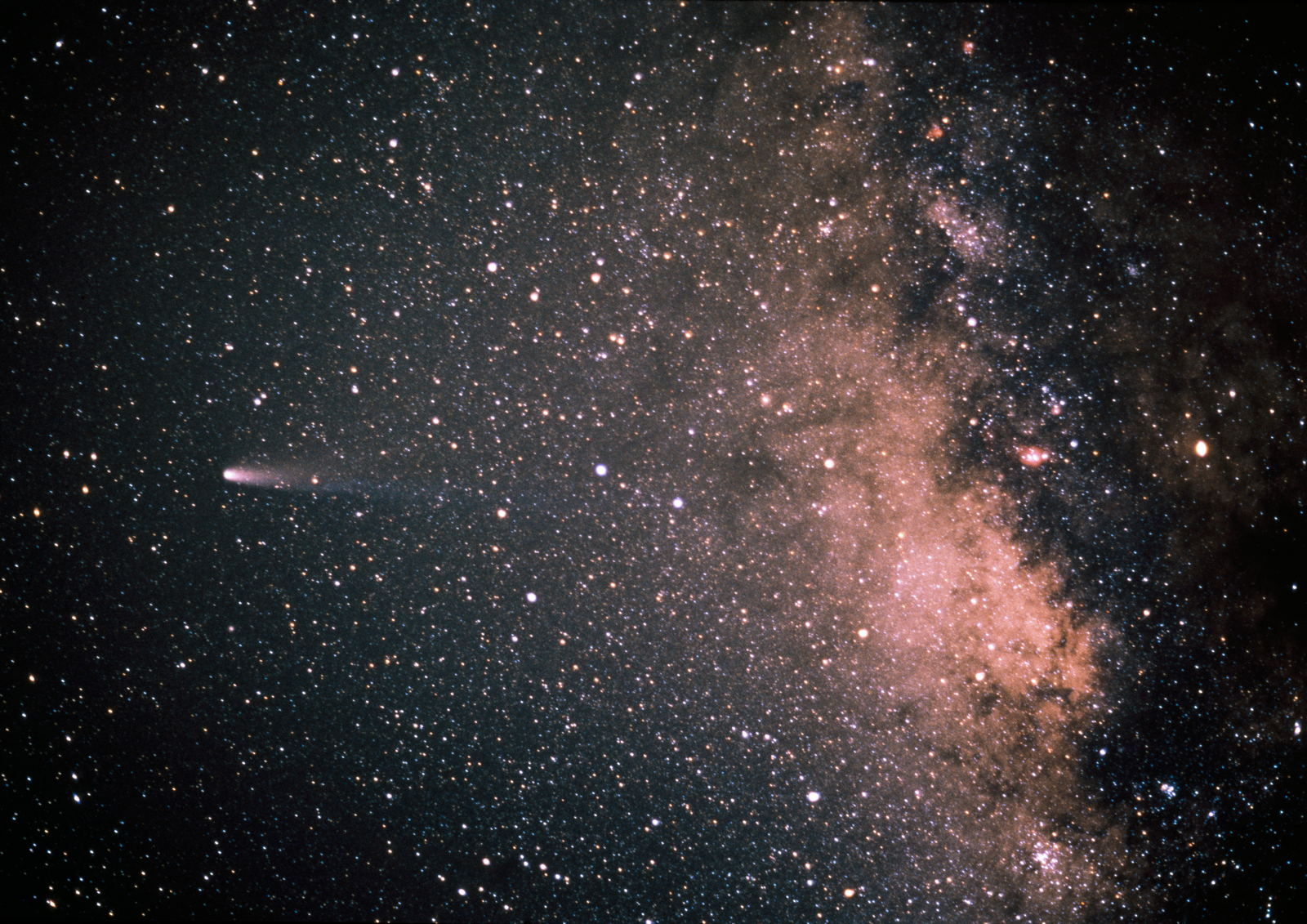 El cometa Halley con su cola extendida sobre un campo denso de estrellas de la Vía Láctea.