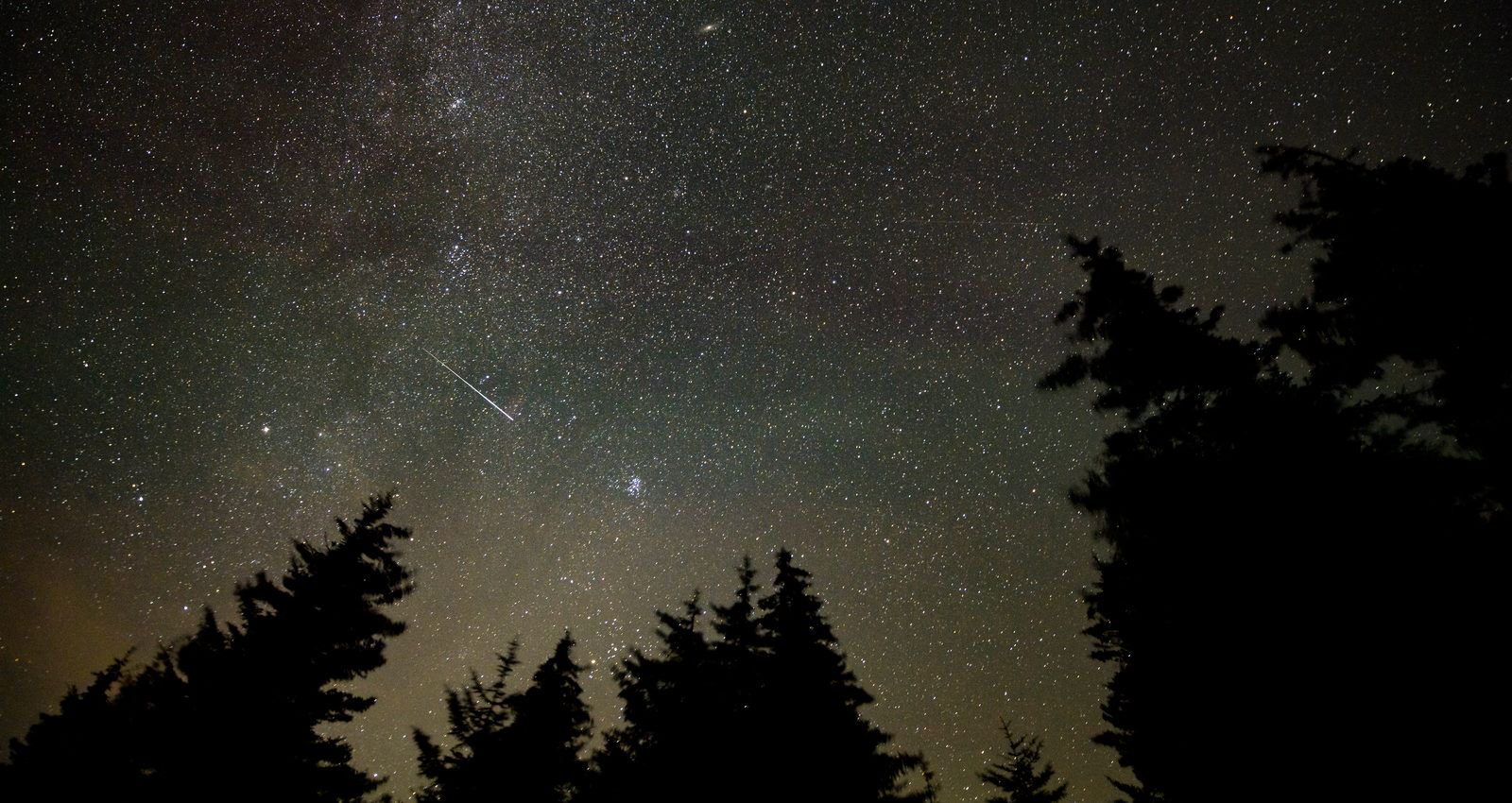 Un meteoro cruza el cielo estrellado sobre la silueta oscura de una arboleda, en una exposición larga que deja las estrellas como puntos y la estela como una raya blanca.
