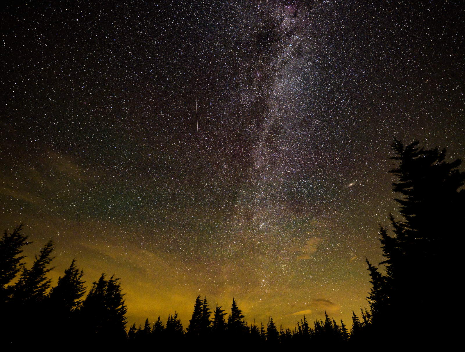 Cielo nocturno con la Vía Láctea y una estela de meteoro brillante sobre el horizonte arbolado.